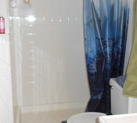 Downstairs shower