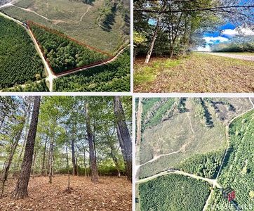 770 Center Hill School Road, Crawfordville, GA, 30631