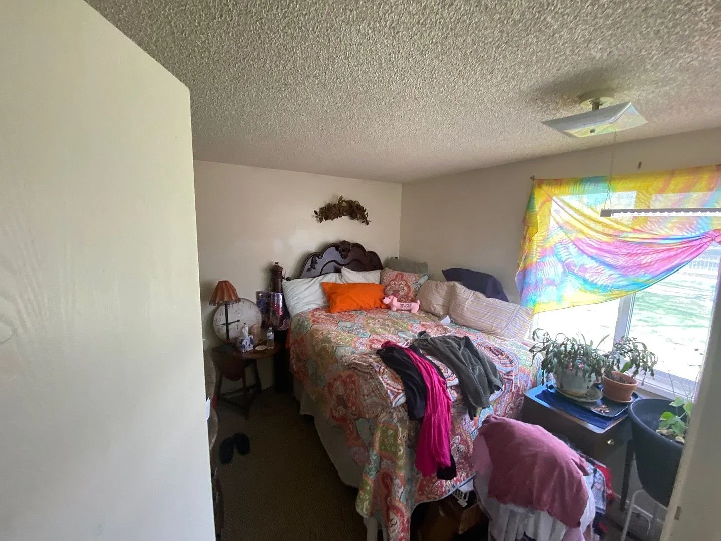 Great Home in Loveland — Photo 4