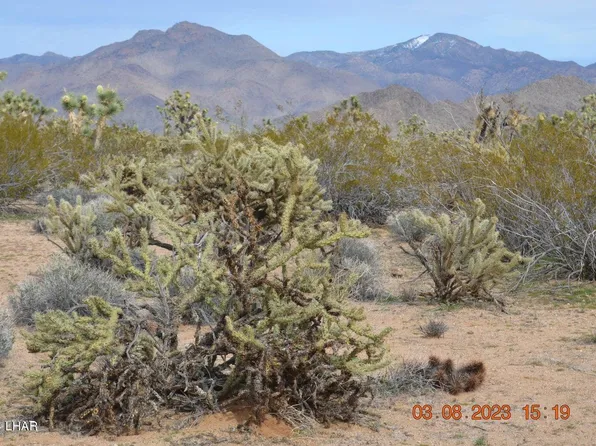 2725 E Fireside Dr, Yucca, AZ 86438