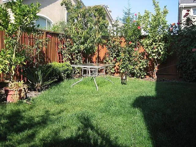 1073 McKay Dr — Photo 2
