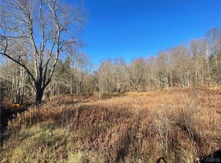 0 Statzer Rd #16, West Leyden, NY 13489