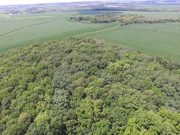 4th image of LOT 9 Mount Hope Rd
