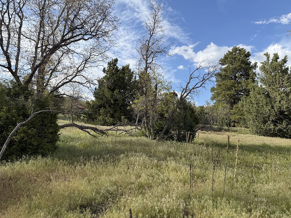 1st image of 318 W Sunflower Cir