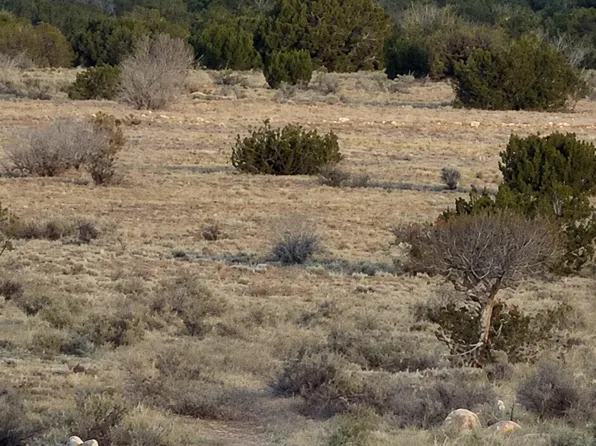 Sec 19 T15N, R16E -- #'''-''', Heber, AZ 85928