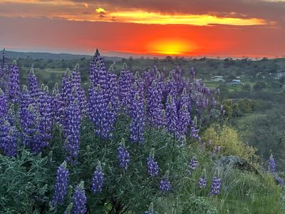 Spinecup Ridge Rd, Raymond, CA, 93653