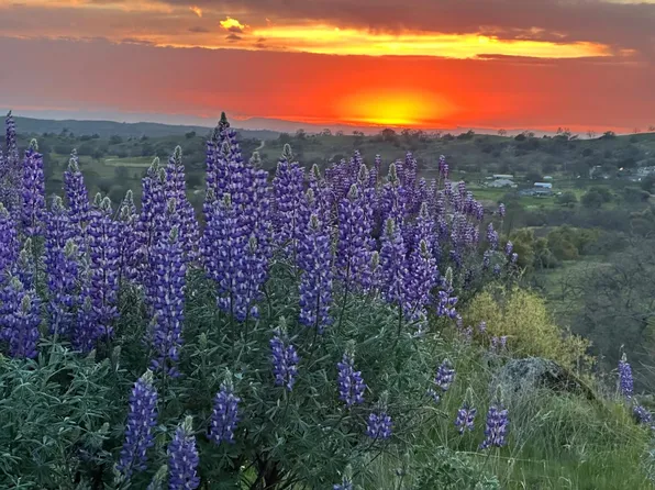 Spinecup Ridge Rd, Raymond, CA 93653