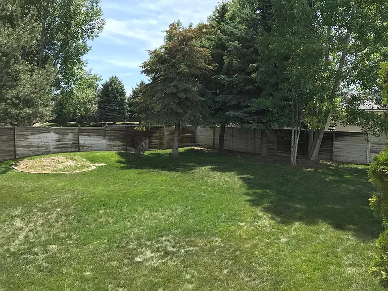 Back Yard with Enclosed Fence, Mature trees, and Full Sprinkler System.
