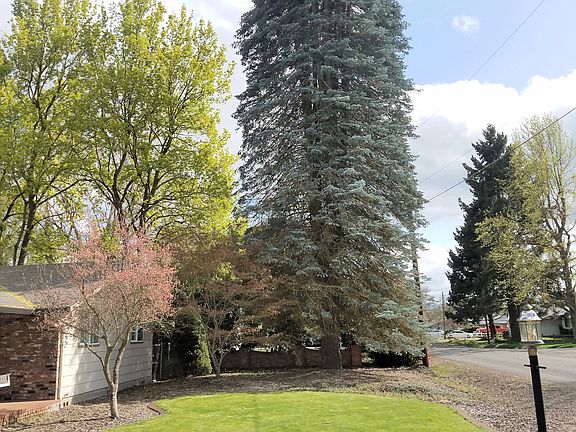 Low Maintenance Front Yard