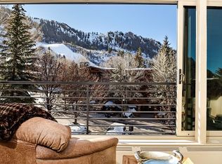 728 S Galena St #101B, Aspen, CO 81611
