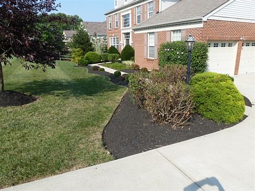 Extensive Prof.
        Landscape