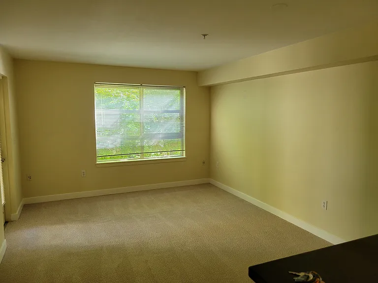 111 108th Ave NE #206 — Photo 21
