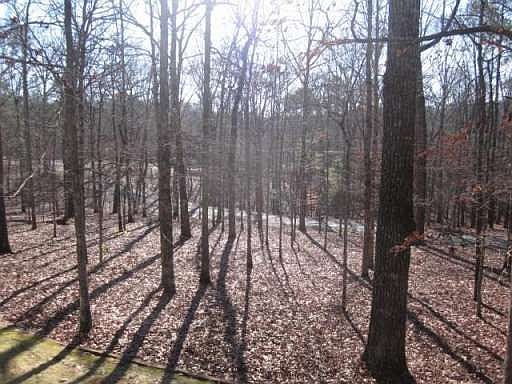 4th image of 978 Ivey Dr