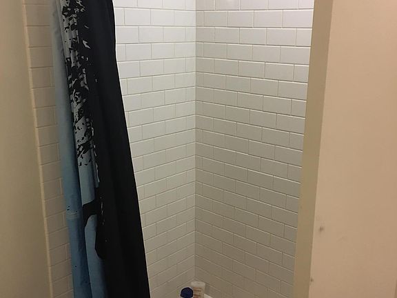 Shower in master bath
