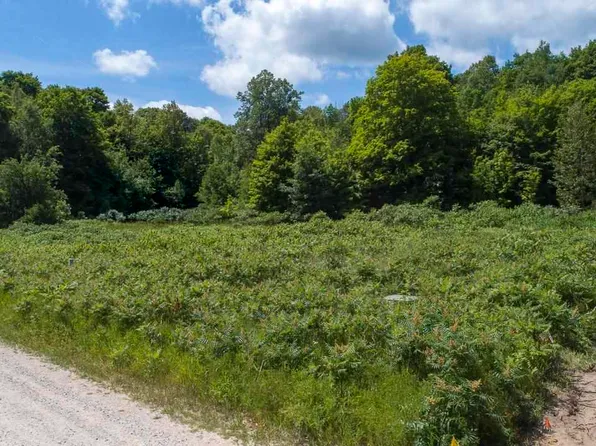 8567 Littlefield Ln, Alanson, MI 49706