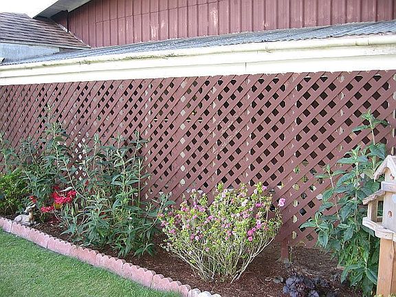Garden Area