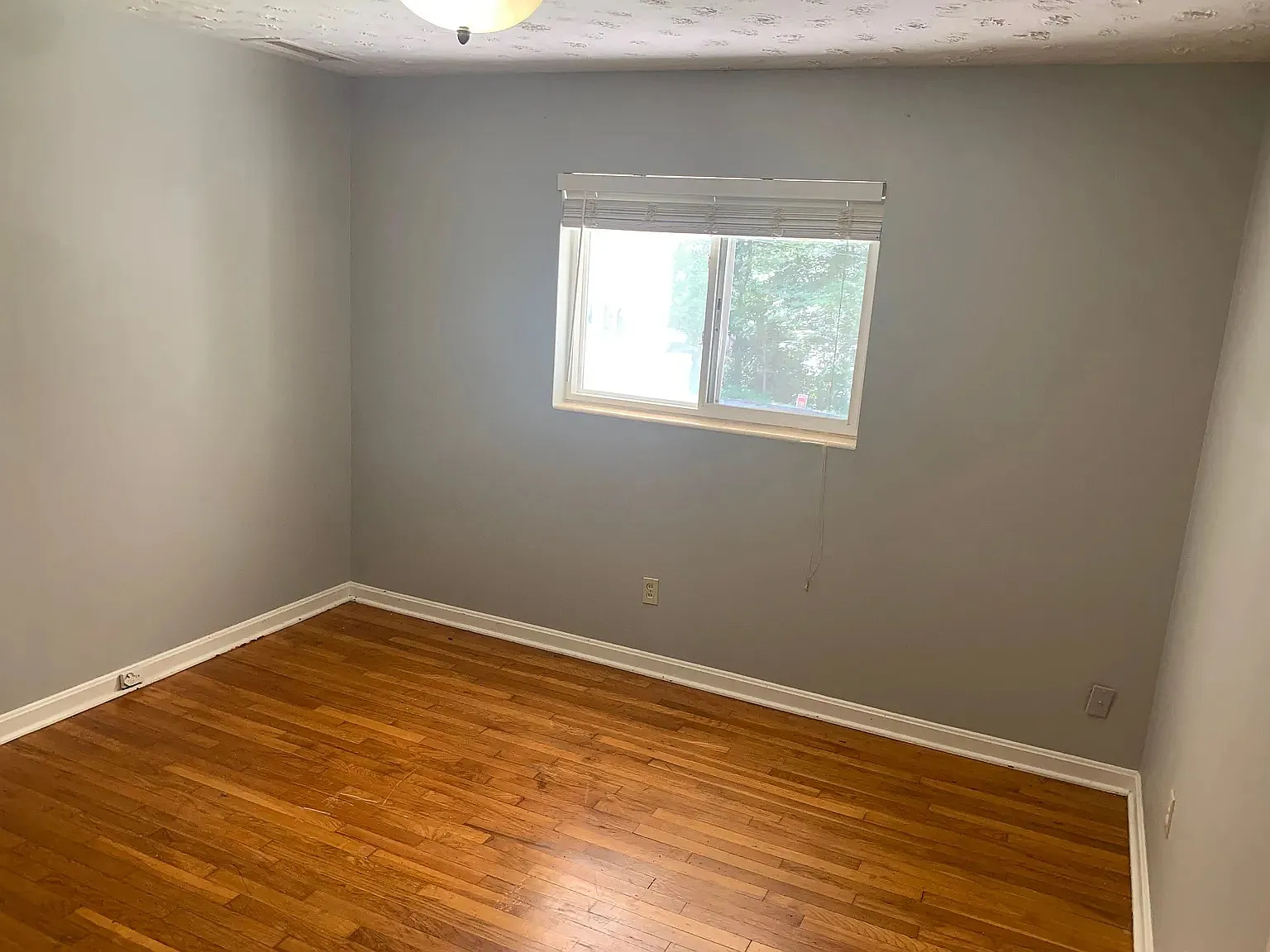 1 bed, 750 sqft, $1,150 — Photo 4