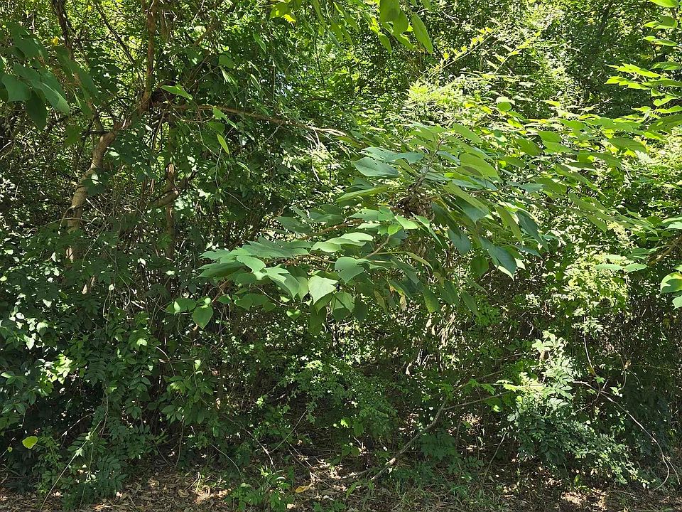 2nd image of 0 Forest St #17-18-20
