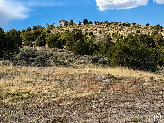 5th image of 14662 S Rose Canyon Rd