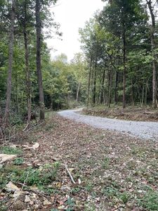 3949 Bald Knob Rd, Frankfort, KY, 40601