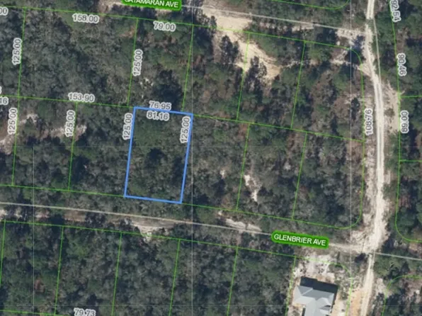 334 Glenbrier Ave, Lake Placid, FL 33852