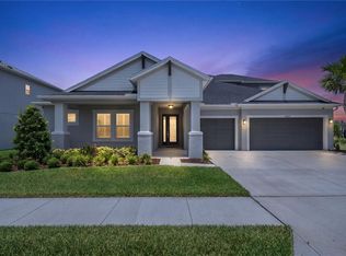 33875 Castaway Loop, Wesley Chapel, FL 33543