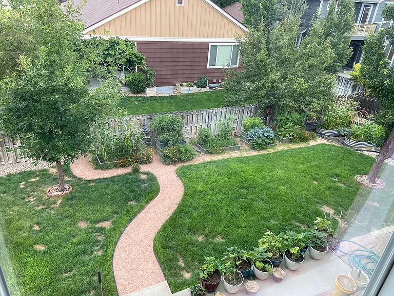 Relaxing garden path in back yard