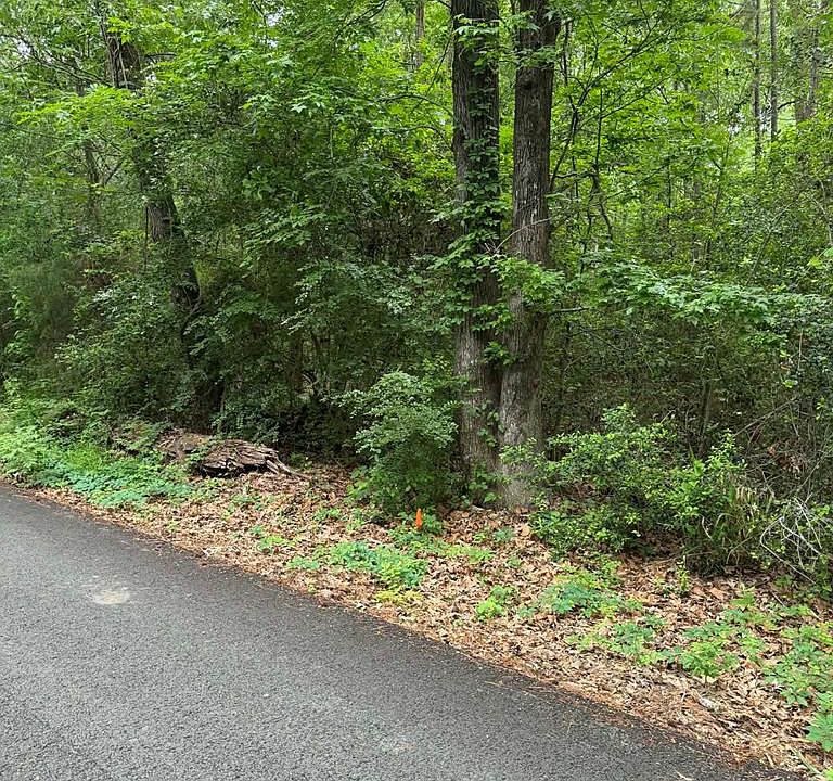 1st image of LOT 3 Old Gobblers Knob Rd