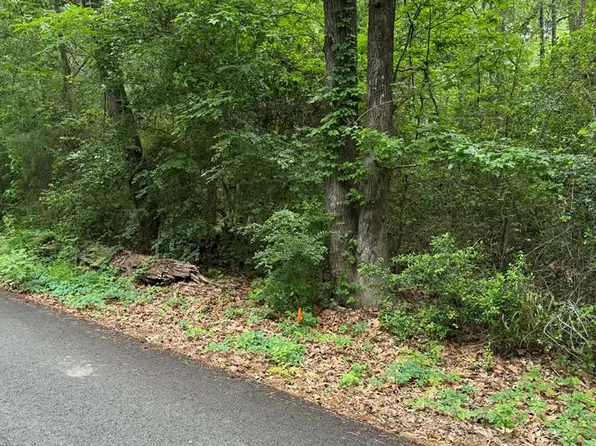 LOT 3 Old Gobblers Knob Rd, Lufkin, TX 75904