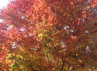 973 Hall St, San Carlos, CA 94070