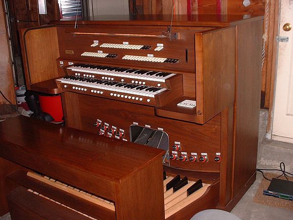 The Organ