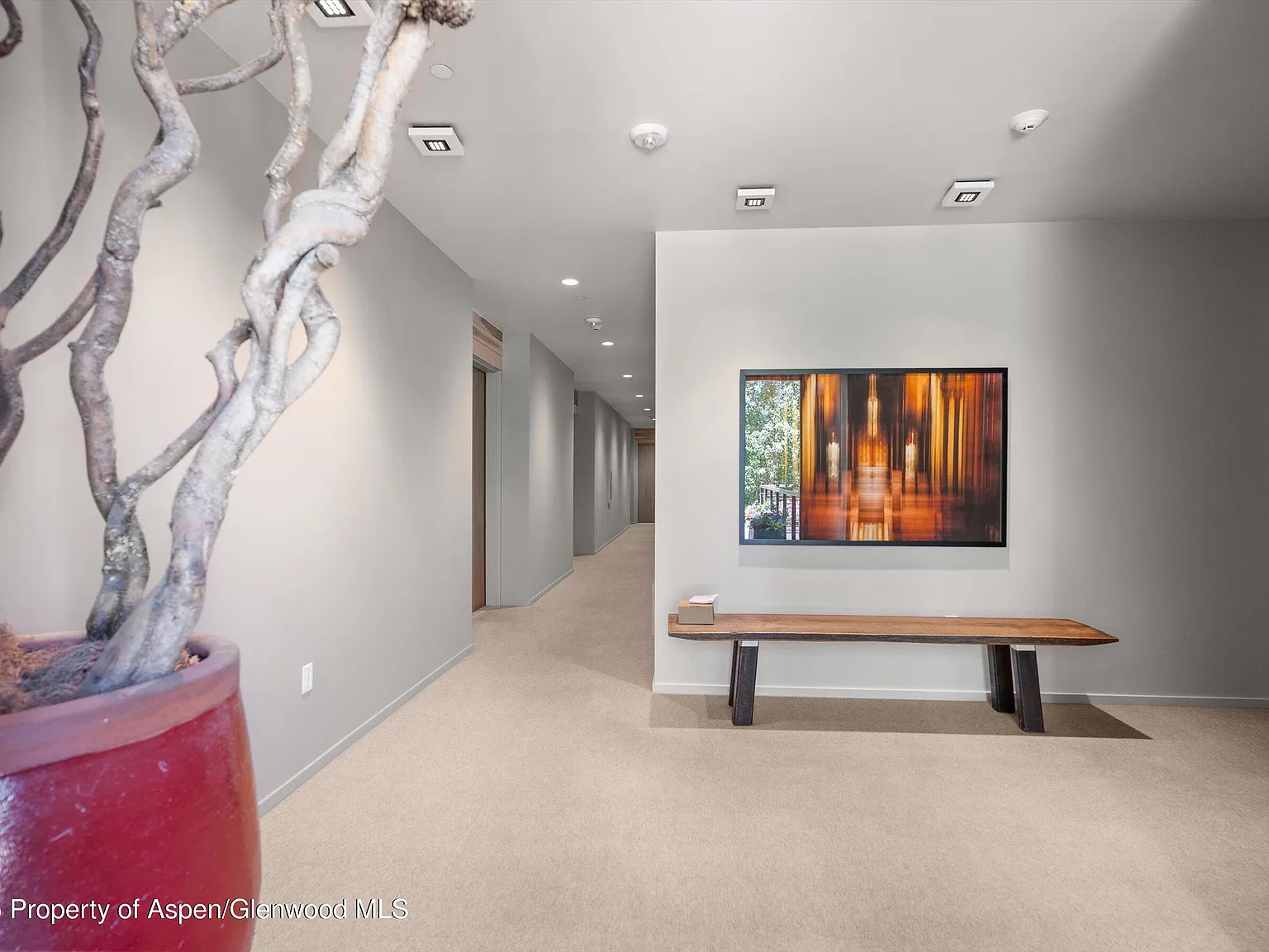 1 bed, 803 sqft, $7,000 — Photo 2