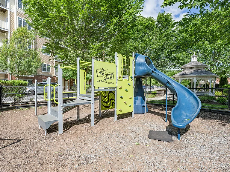 Axis at Lakeshore — Photo 18