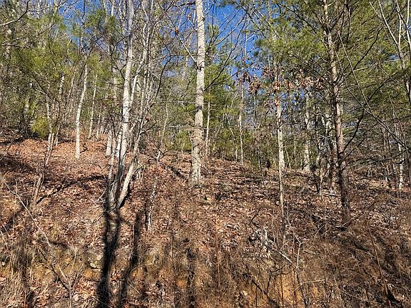 3rd image of 0 Mission Ridge Ct