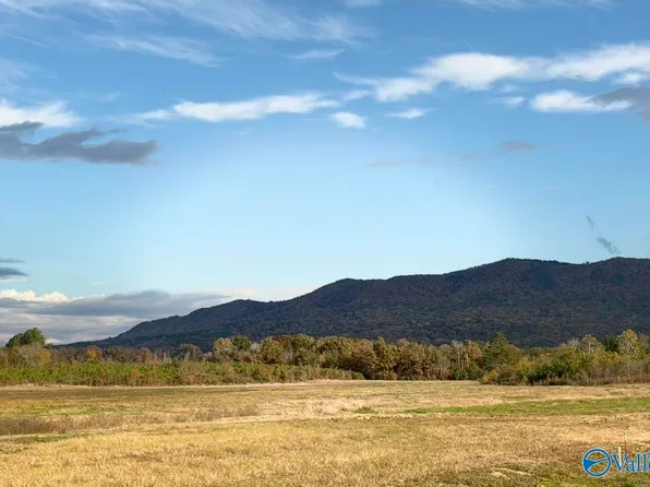 LOT 36 County Road 32, Piedmont, AL 36272