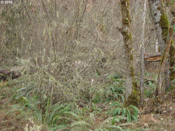 5th image of Palisade Dr