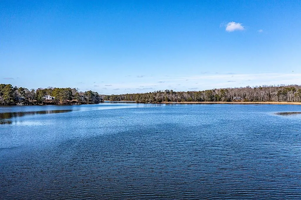 0 Canvasback Ln photo 1