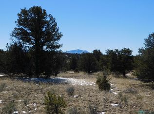 56 Bronco Blvd, Quemado, NM 87829