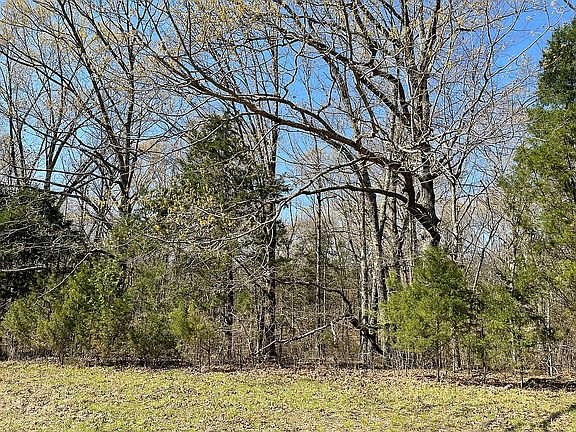 5th image of 105 Bonne Terre Dr