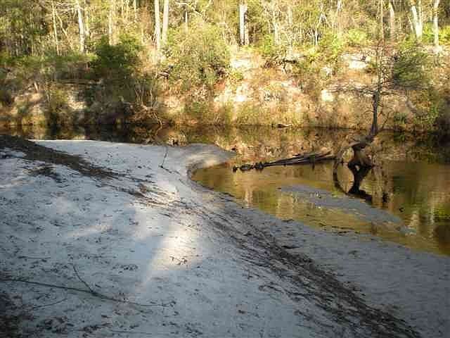 1st image of 51 Wildlife Ln