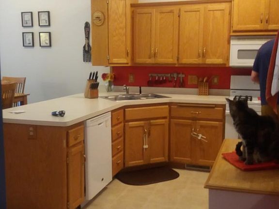 3rd image of 6318 Cavell Ct N