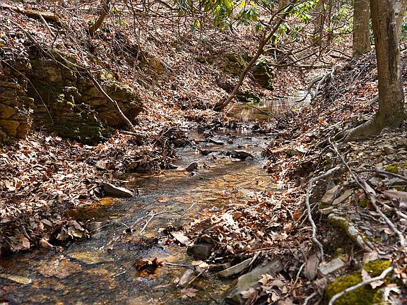 2nd image of 6184 N Ridge Ln