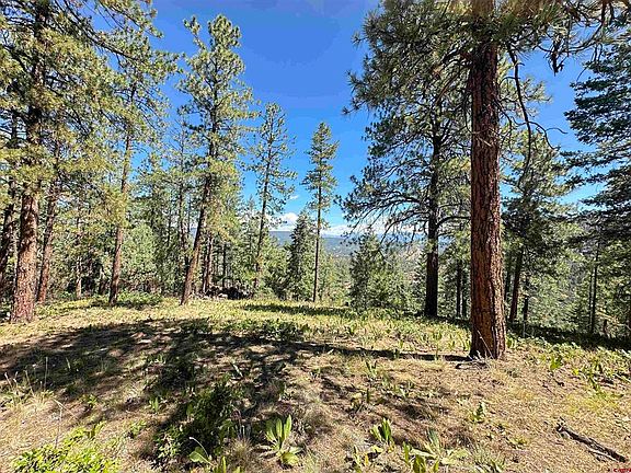 4th image of 1203 Gun Barrel Road