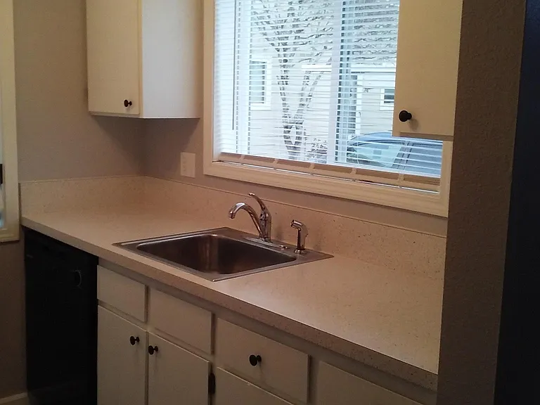 Dishwasher. New counters, sink, faucet.