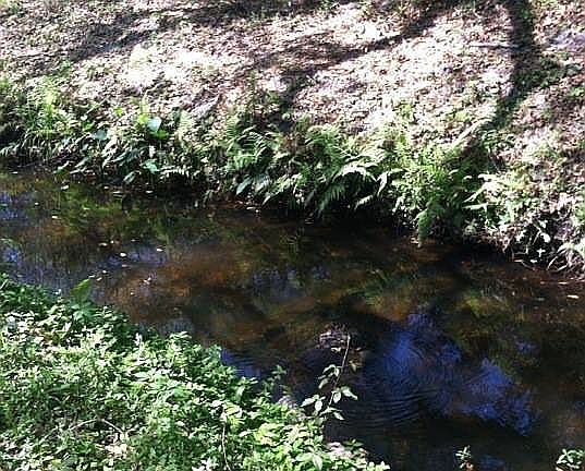 4th image of 111 Thicket Ln