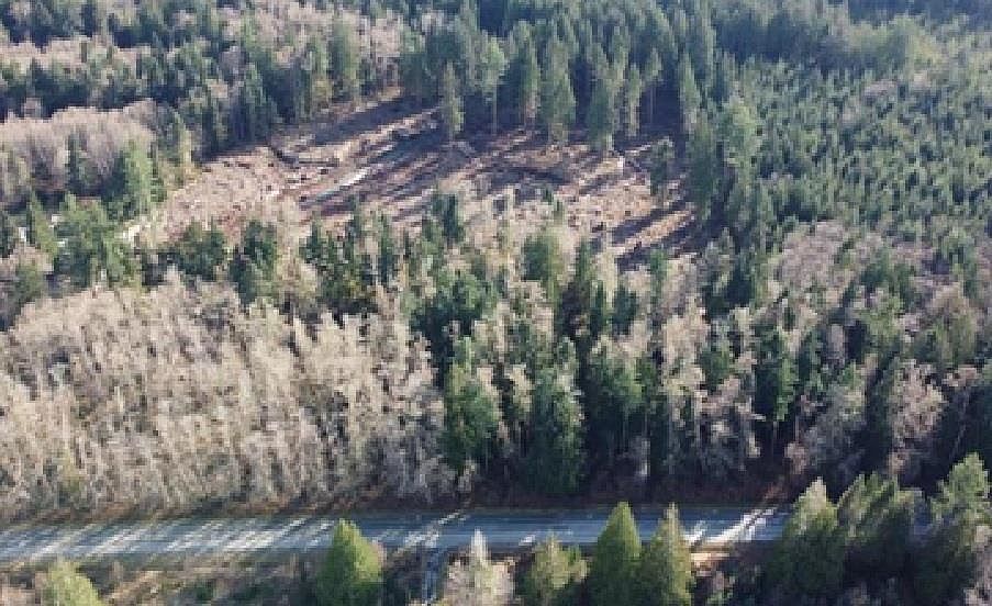 1st image of 2224 Swan Rd