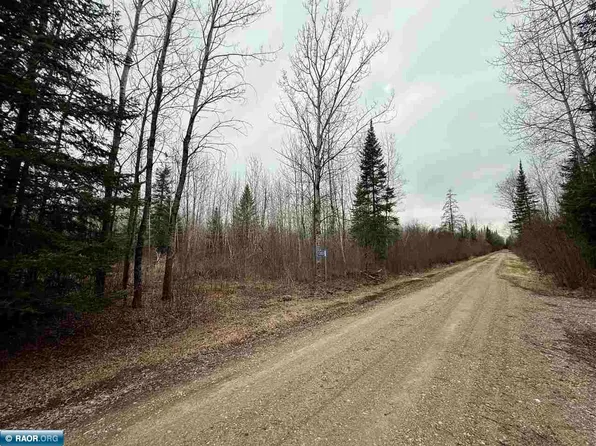 10801 Town Line Forest Rd #69, Orr, MN 55771
