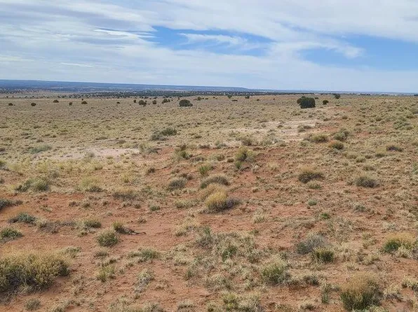 189 River Meadows Rnch, Concho, AZ 85924