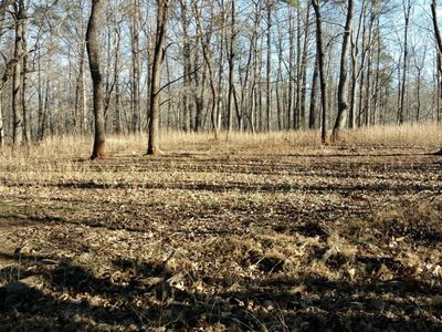 Tbd Shepherd Run, Charlottesville, VA, 22903