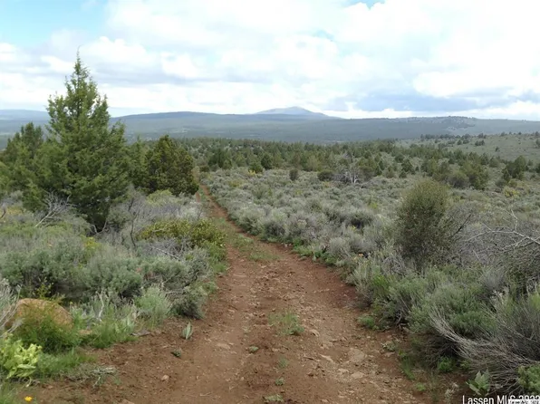 0 Lone Pne, Madeline, CA 96119